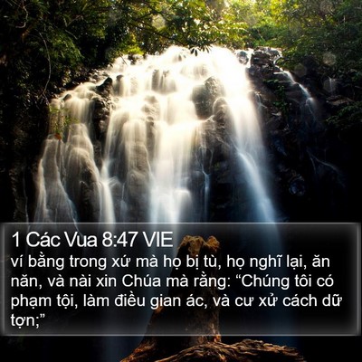 1 Các Vua 8:47 VIE Bible Verse Image