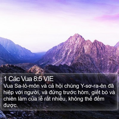 1 Các Vua 8:5 VIE Bible Verse Image