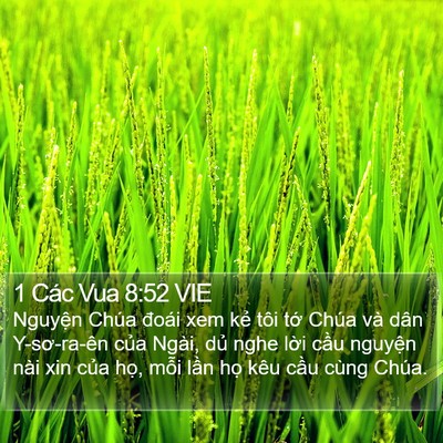 1 Các Vua 8:52 VIE Bible Verse Image