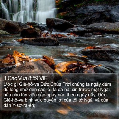 1 Các Vua 8:59 VIE Bible Verse Image