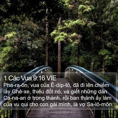 1 Các Vua 9:16 VIE Bible Verse Image