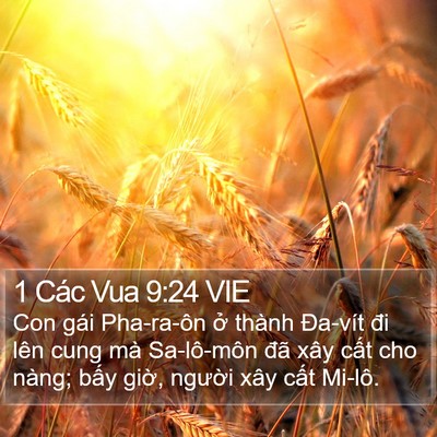 1 Các Vua 9:24 VIE Bible Verse Image