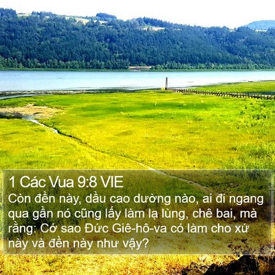 1 Các Vua 9:8 VIE Bible Verse Image