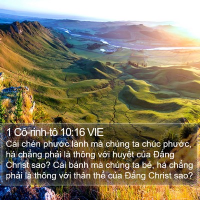 1 Cô-rinh-tô 10:16 VIE Bible Verse Image