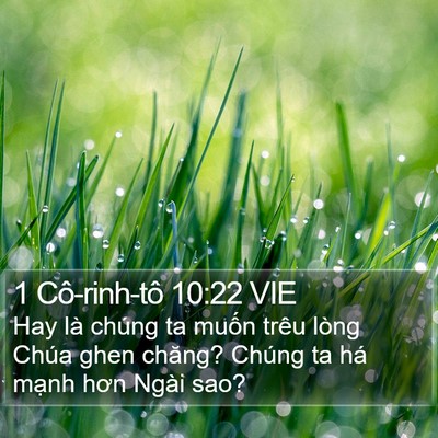 1 Cô-rinh-tô 10:22 VIE Bible Verse Image