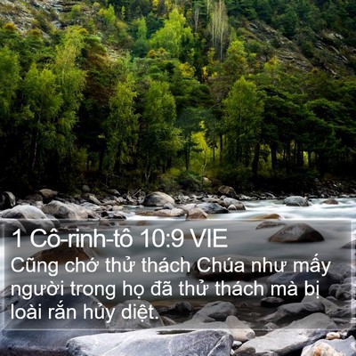 1 Cô-rinh-tô 10:9 VIE Bible Verse Image