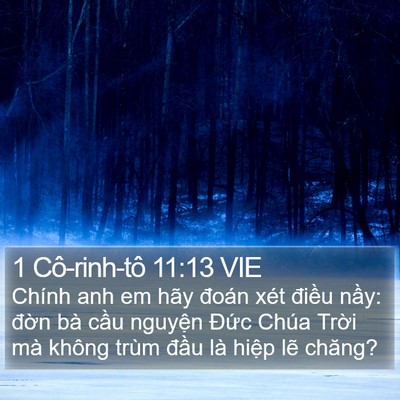 1 Cô-rinh-tô 11:13 VIE Bible Verse Image