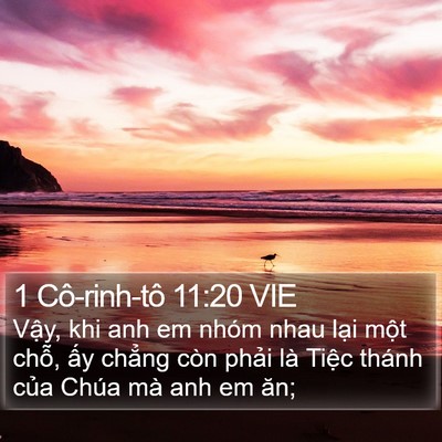 1 Cô-rinh-tô 11:20 VIE Bible Verse Image
