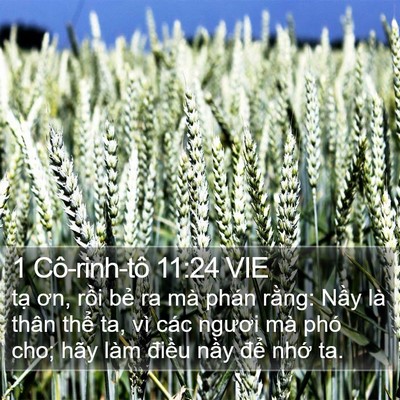 1 Cô-rinh-tô 11:24 VIE Bible Verse Image