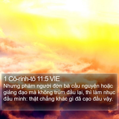 1 Cô-rinh-tô 11:5 VIE Bible Verse Image