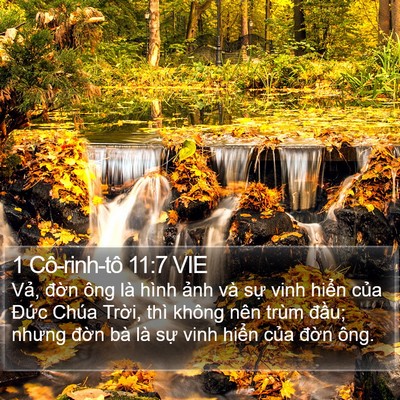 1 Cô-rinh-tô 11:7 VIE Bible Verse Image