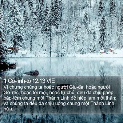 1 Cô-rinh-tô 12:13 VIE Bible Verse Image