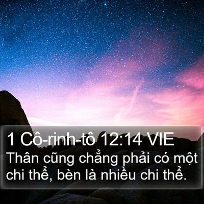 1 Cô-rinh-tô 12:14 VIE Bible Verse Image
