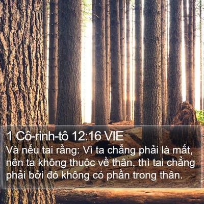 1 Cô-rinh-tô 12:16 VIE Bible Verse Image