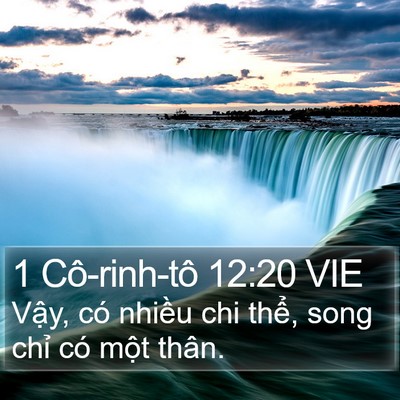 1 Cô-rinh-tô 12:20 VIE Bible Verse Image