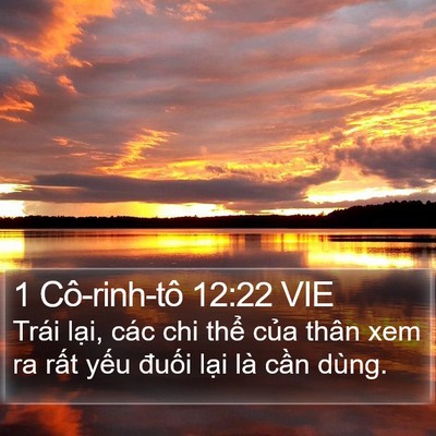 1 Cô-rinh-tô 12:22 VIE Bible Verse Image