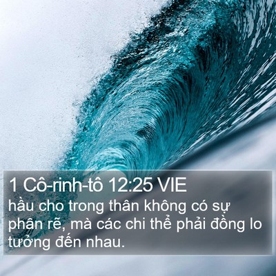 1 Cô-rinh-tô 12:25 VIE Bible Verse Image