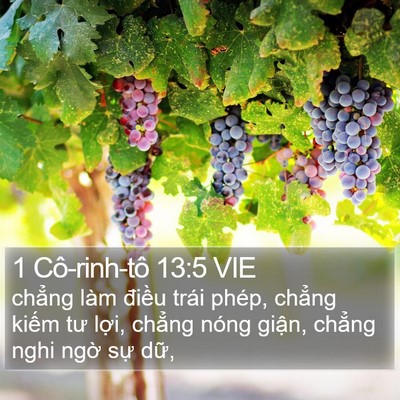 1 Cô-rinh-tô 13:5 VIE Bible Verse Image