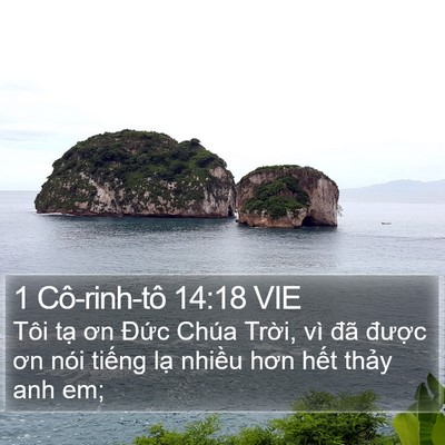 1 Cô-rinh-tô 14:18 VIE Bible Verse Image