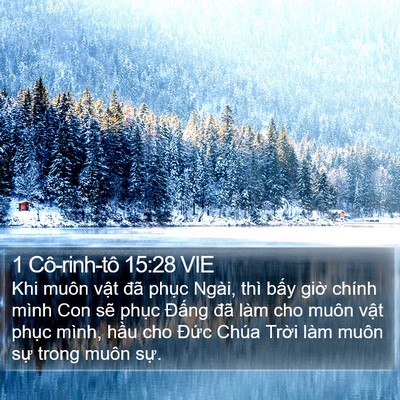 1 Cô-rinh-tô 15:28 VIE Bible Verse Image