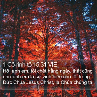 1 Cô-rinh-tô 15:31 VIE Bible Verse Image