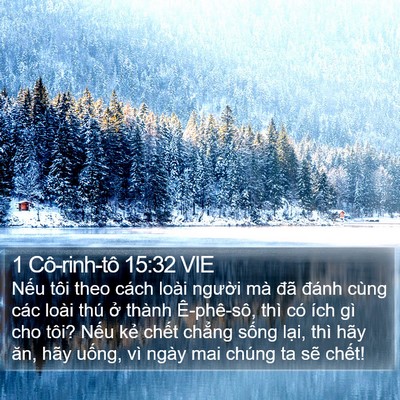 1 Cô-rinh-tô 15:32 VIE Bible Verse Image
