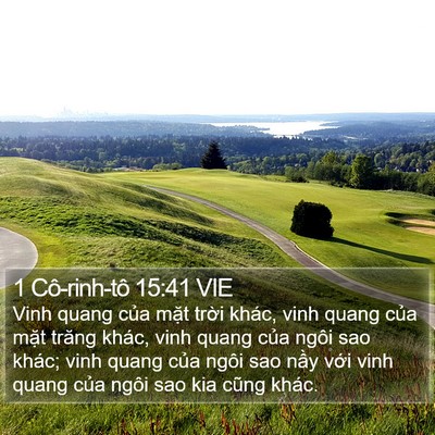 1 Cô-rinh-tô 15:41 VIE Bible Verse Image
