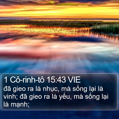1 Cô-rinh-tô 15:43 VIE Bible Verse Image