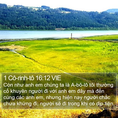1 Cô-rinh-tô 16:12 VIE Bible Verse Image