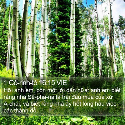 1 Cô-rinh-tô 16:15 VIE Bible Verse Image