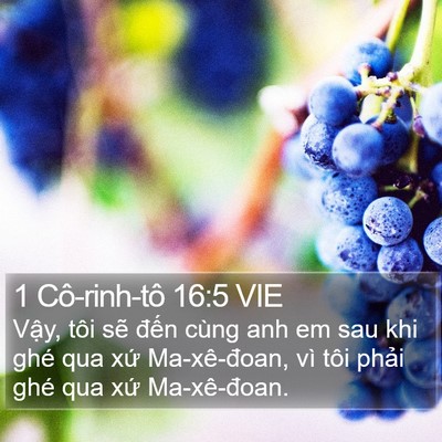 1 Cô-rinh-tô 16:5 VIE Bible Verse Image