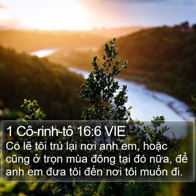 1 Cô-rinh-tô 16:6 VIE Bible Verse Image