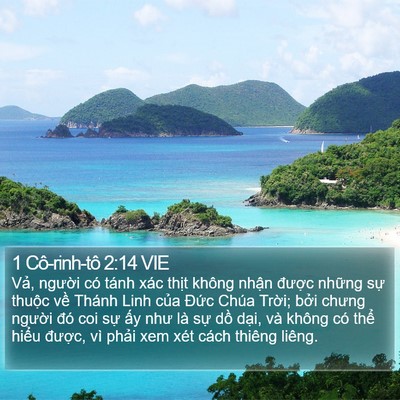 1 Cô-rinh-tô 2:14 VIE Bible Verse Image