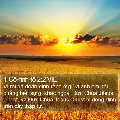 1 Cô-rinh-tô 2:2 VIE Bible Verse Image