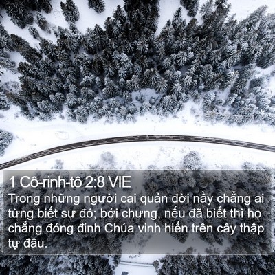1 Cô-rinh-tô 2:8 VIE Bible Verse Image