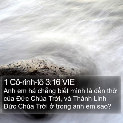 1 Cô-rinh-tô 3:16 VIE Bible Verse Image