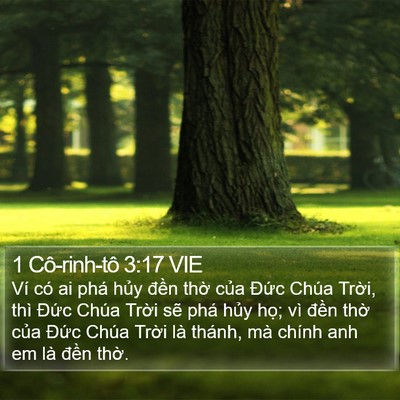 1 Cô-rinh-tô 3:17 VIE Bible Verse Image
