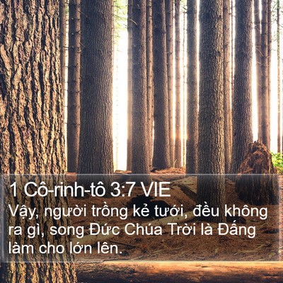 1 Cô-rinh-tô 3:7 VIE Bible Verse Image