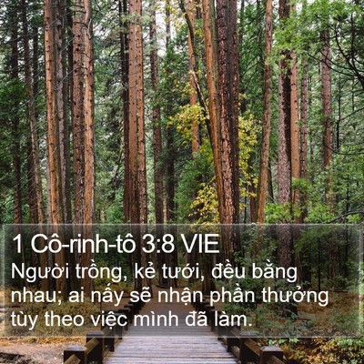 1 Cô-rinh-tô 3:8 VIE Bible Verse Image
