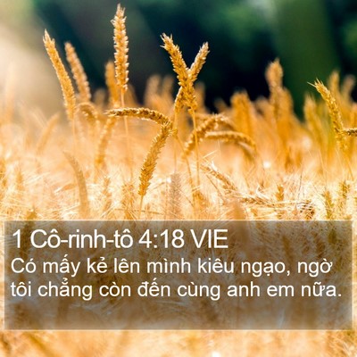 1 Cô-rinh-tô 4:18 VIE Bible Verse Image