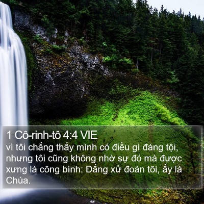 1 Cô-rinh-tô 4:4 VIE Bible Verse Image