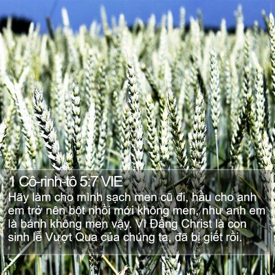 1 Cô-rinh-tô 5:7 VIE Bible Verse Image