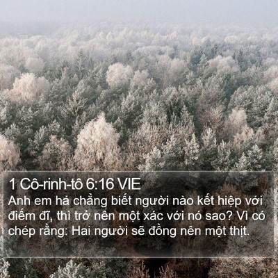 1 Cô-rinh-tô 6:16 VIE Bible Verse Image