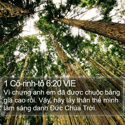 1 Cô-rinh-tô 6:20 VIE Bible Verse Image