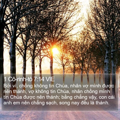 1 Cô-rinh-tô 7:14 VIE Bible Verse Image