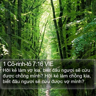 1 Cô-rinh-tô 7:16 VIE Bible Verse Image
