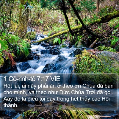 1 Cô-rinh-tô 7:17 VIE Bible Verse Image
