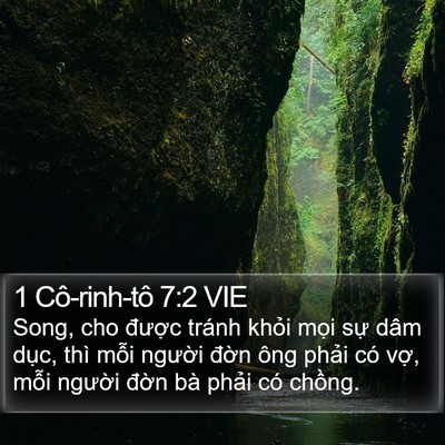 1 Cô-rinh-tô 7:2 VIE Bible Verse Image