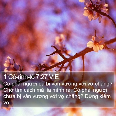 1 Cô-rinh-tô 7:27 VIE Bible Verse Image