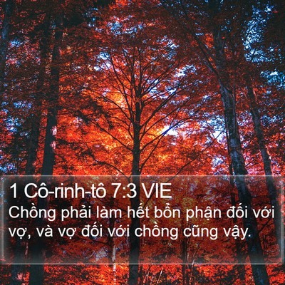 1 Cô-rinh-tô 7:3 VIE Bible Verse Image